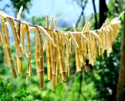 吃春笋，，，，，，，不可辜负的至鲜皖味